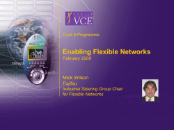 Enabling Flexible Networks