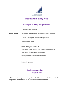International Study Visit Example &frac12; Day Programme* Maximum