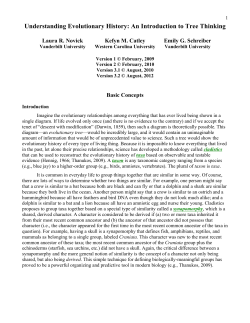 Cognition, Perception, Diagrams