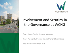 Scrutiny &ndash; How would you do it?