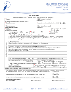 Intake_Form - Blue Heron Midwives