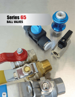 S65 Ball Valves