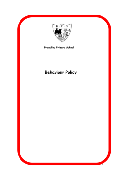 Rationale - Brandling Primary School