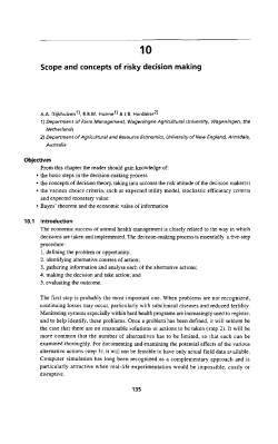 Scope and concepts of risky decision making