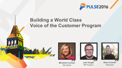 Building a World Class Voice of the Customer Program