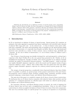 Algebraic K-theory of Special Groups