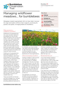 Managing wildflower meadows&hellip; - Bumblebee Conservation Trust