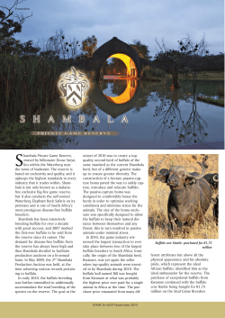 Shambala Private Game Reserve, owned by billionaire Douw Steyn