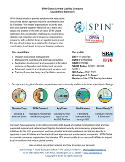 SPIN Global Limited Liability Company Capabilities Statement SPIN
