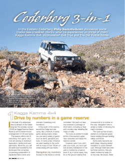 Drive by numbers in a game reserve