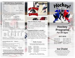 Hockey Programs