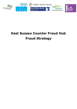 East Sussex Counter Fraud Hub Fraud Strategy