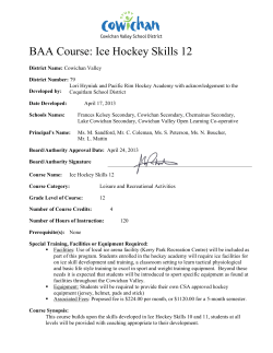 Ice Hockey Skills 12