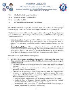 2017 babe ruth softball rule changes