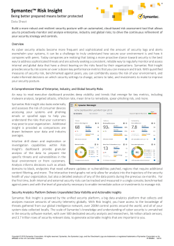 Symantec&trade; Risk Insight