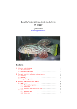 N. furzeri - NFIN - The Nothobranchius furzeri Information Network
