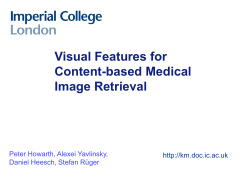 Multimedia Indexing 9 Month PhD Report