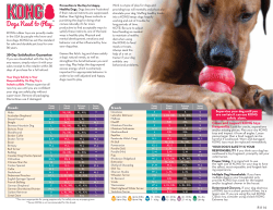 Clean and inspect KONG toys