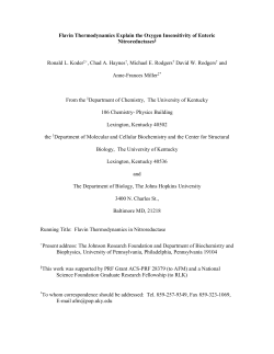 Flavin Thermodynamics Explain the Oxygen Insensitivity