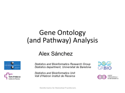 Gene Ontology - VHIR`s Statistics and Bioinformatics Unit