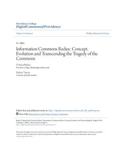 Information Commons Redux: Concept, Evolution and Transcending