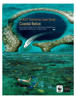 Coastal Belize - Natural Capital Project
