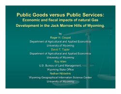 Public Goods versus Public Services: