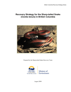 Recovery Strategy for the Sharp-tailed Snake