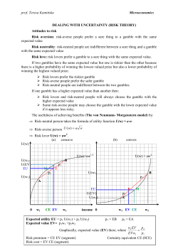 RISK THEORY
