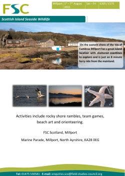 Activities include rocky shore rambles, team games, beach art and