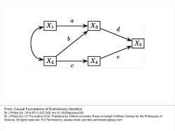 Causal Foundations of Evolutionary Genetics