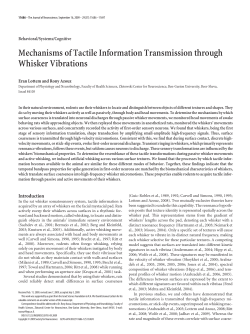 Mechanisms of Tactile Information Transmission through Whisker