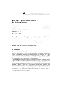 Customer Lifetime Value Models for Decision Support