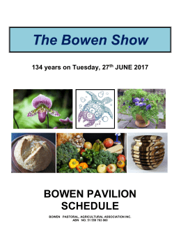 SECTION 8 - The Bowen Show