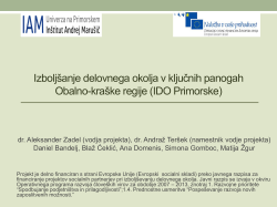 (IDO Primorske): Selected issues - Ministrstvo za delo, družino