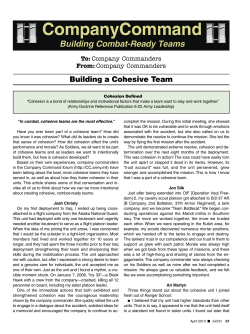 Building a Cohesive Team