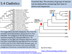 groups of species
