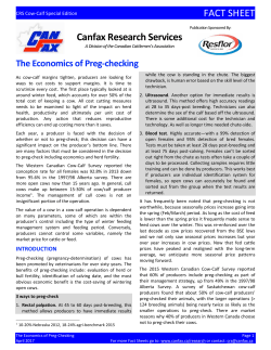 The Economics of Preg-Checking