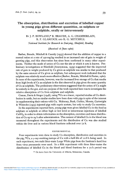 The absorption, distribution and excretion of labelled copper in