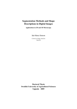 Segmentation Methods and Shape Descriptions in Digital Images