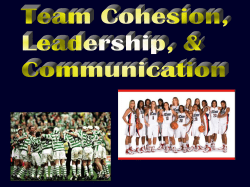 Team Cohesion / Leadership