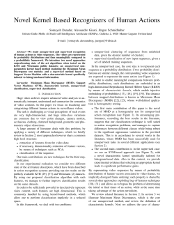 Novel Kernel Based Recognizers of Human Actions