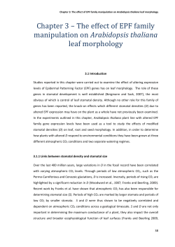3.4.2 Average leaf size is negatively correlated with stomatal and