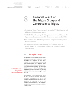section Financial Result of the Triglav Group and