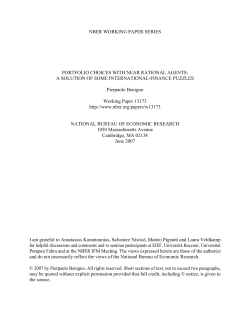 Portfolio Choices with Near Rational Agents: A Solution of Some