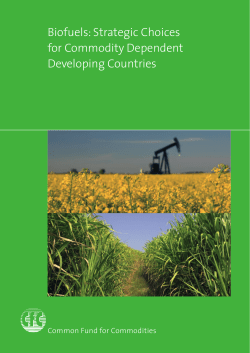 Biofuels: Strategic Choices for Commodity Dependent Developing