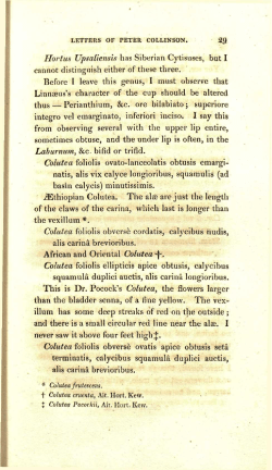 29 Hort us Upsaliensis has Siberian Cytisuses, but I cannot