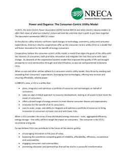 The Consumer-Centric Utility Model