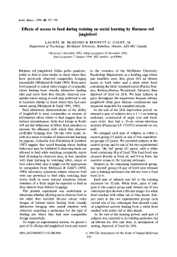 Effects of access to food during training on social learning by