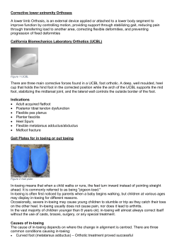 Dynamic Ankle Foot Orthosis (DAFO)